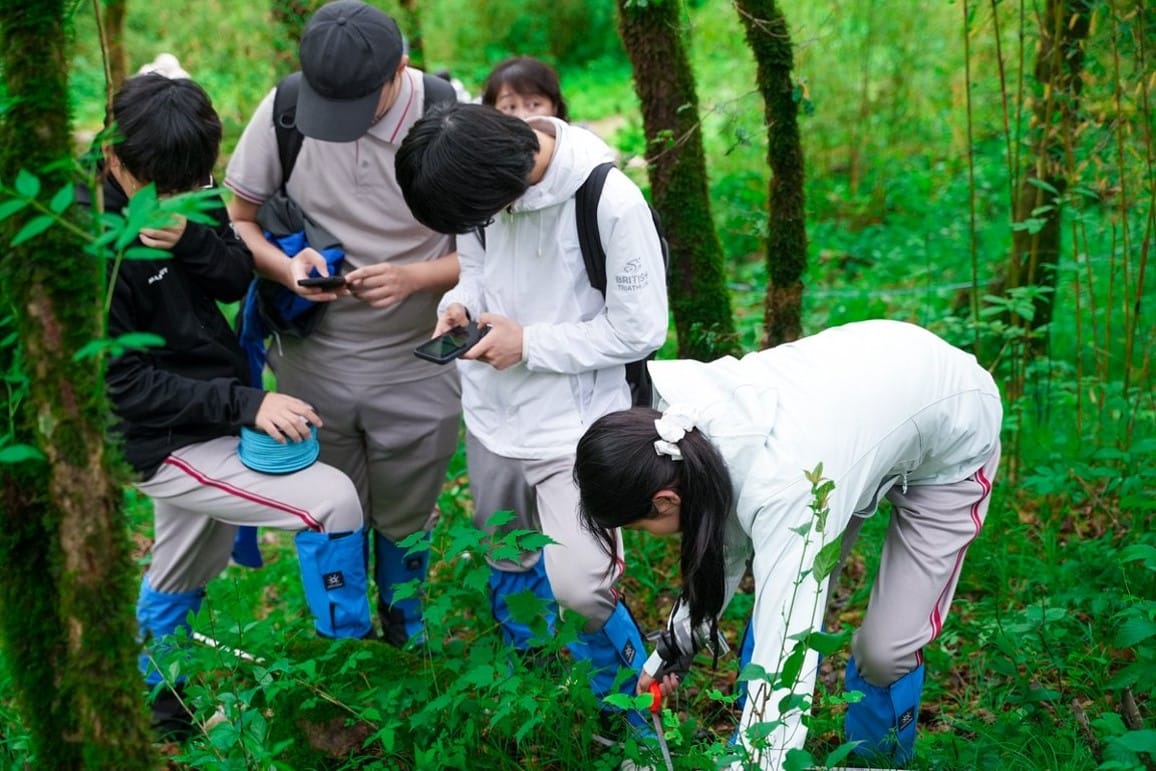 秦岭实地科研考察 — 秦岭样方调查