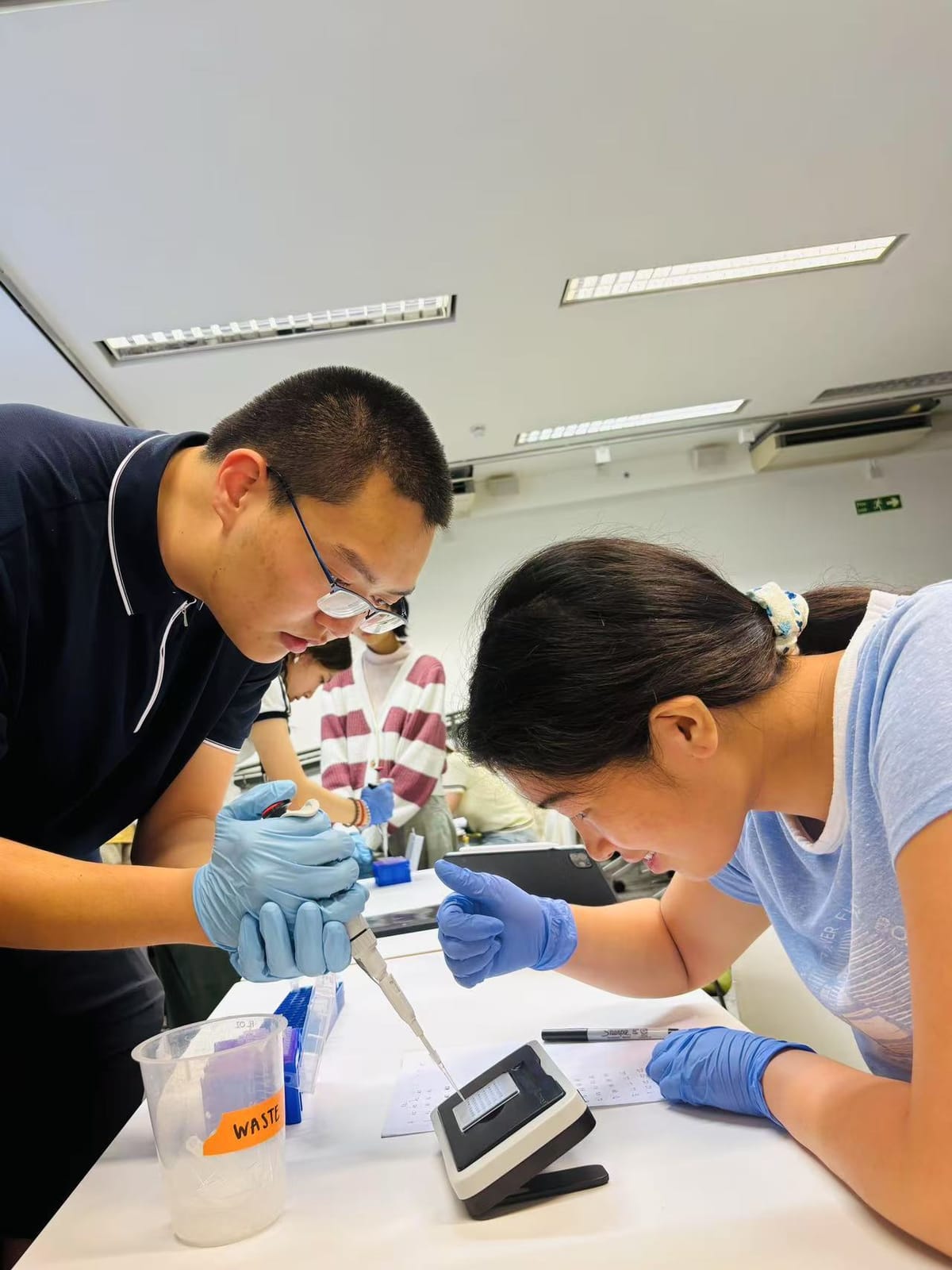 UCL 生物信息学夏校 — UCL 实验课